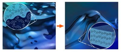 Polymer Blend Morphology