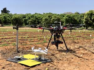 Drones against the backdrop of a young sesame experimental plot