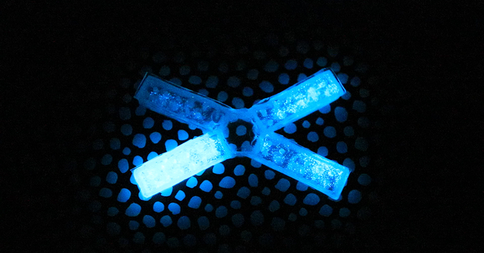 Algae-powered devices glow in the dark