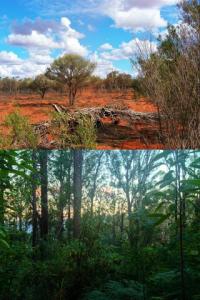 Australian Habitats