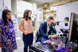 Researchers in the lab