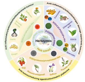 Herbzymes: Nanozymes Derived from Chinese Herbs with Potential Biomedical Applications