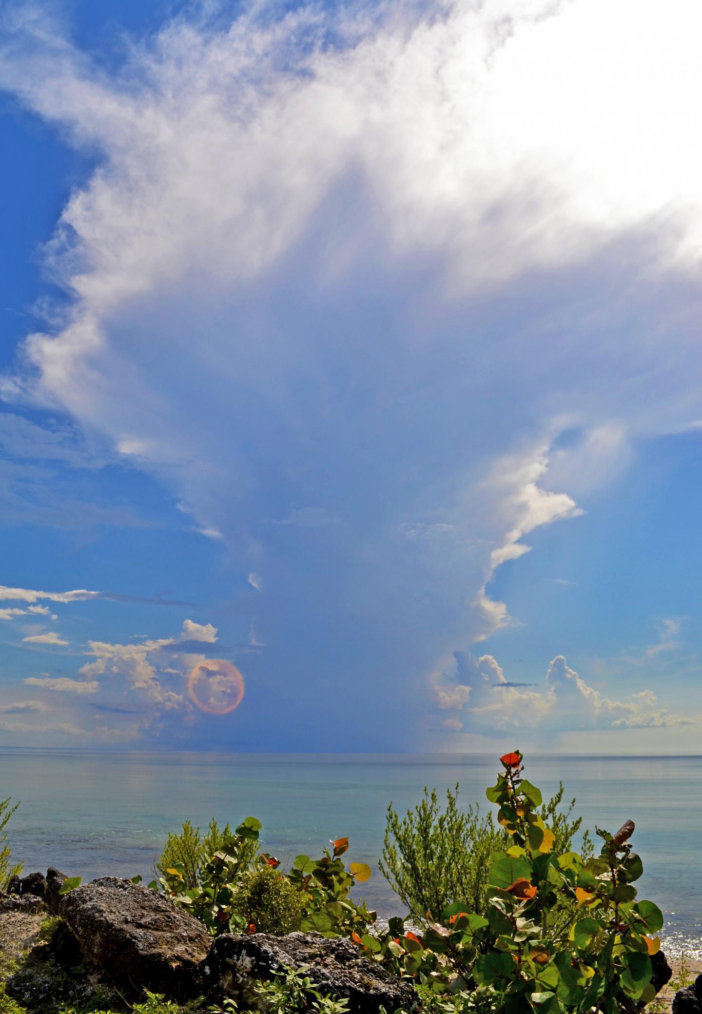 Convective Clouds