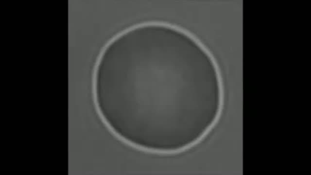 Flicker Spectroscopy