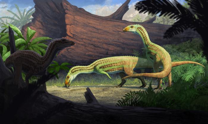 Sonselasuchus cedrus in its environment (now known as Petrified Forest National Park)