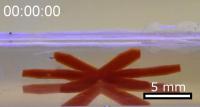 Robotic Soft Matter