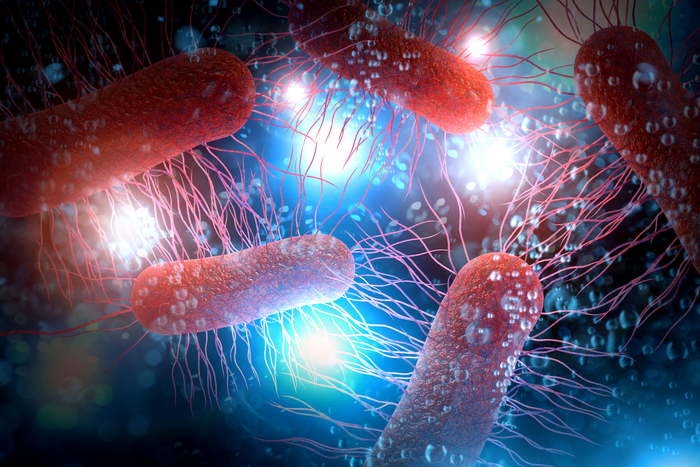 E. Coli