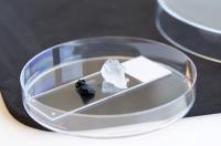 Conductive Nanocellulose Gel next to Customary Nanocellulose Gel