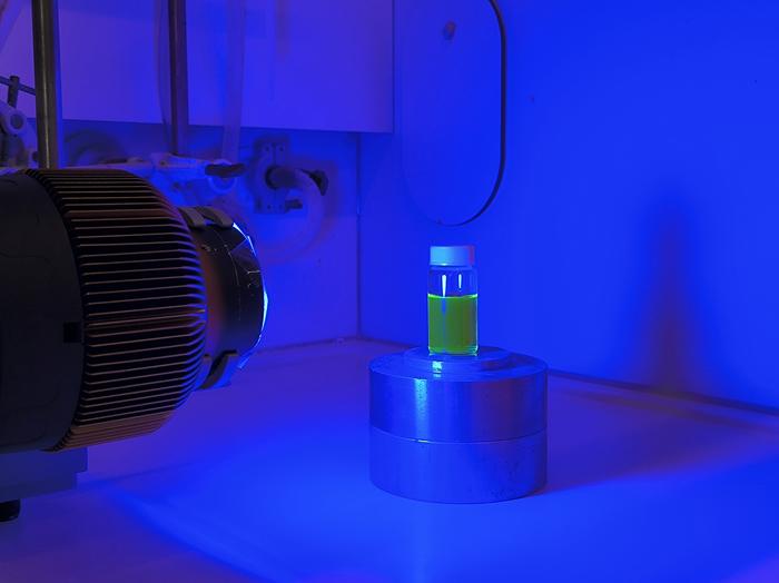 Experimental setup