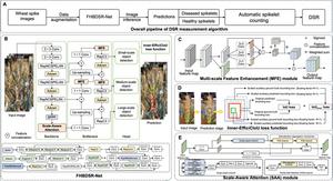 FHBDSR-Net: Automated measurement of diseased spikelet rate of Fusarium Head Blight on wheat spikes