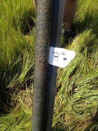 Marsh Core