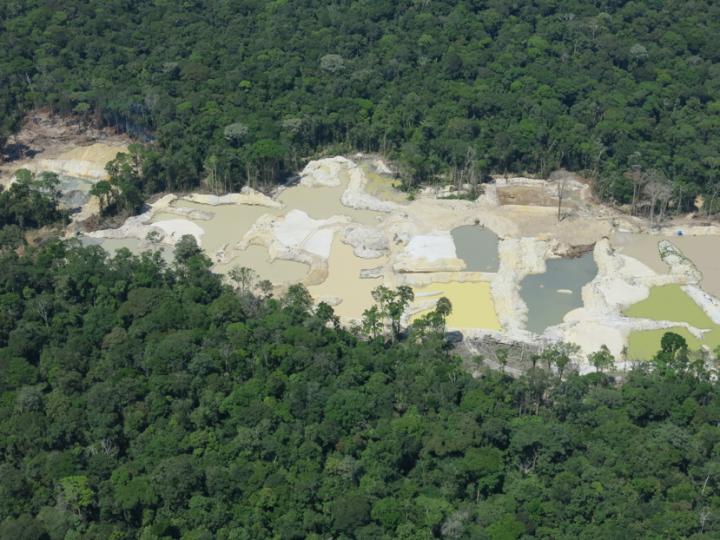 Illegal Mining