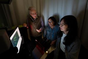 St. Jude researchers found that ABCC4 interacts with a “neighborhood” of proteins through sticky protein regions called PDZ domains to restrict ABCC4’s movement.