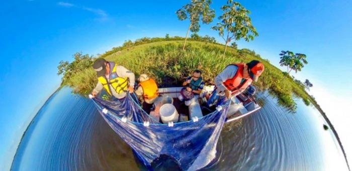 Loss of natural areas and introduction of exotic species reduces fishing yields in the Paraná River in Brazil