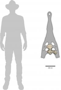 Scale