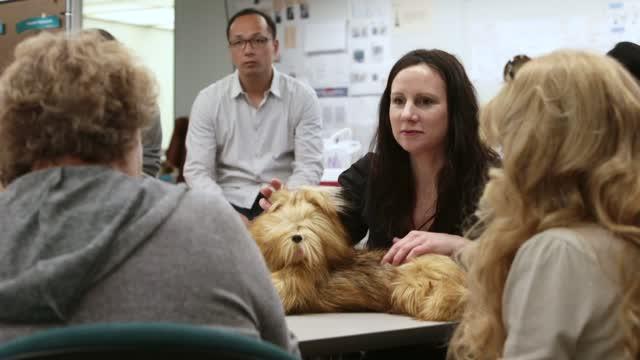 Robotic Pets