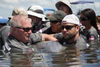 Dolphin Research in Water