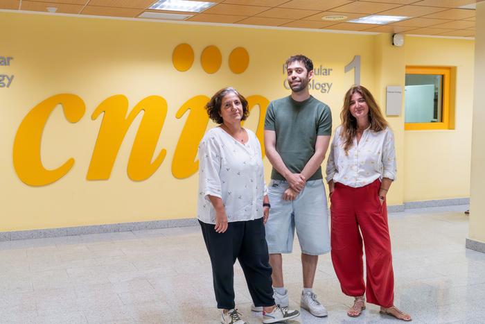 From left, CNIO researchers Ana Losada, Daniel Giménez and Ana Cuadrado. /MadMoviex. CNIO