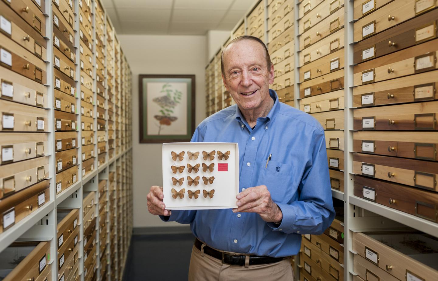 New Butterfly Species Named in Honor of UF Lepidopterist