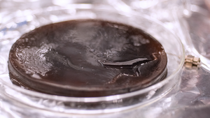 Solar gel close-up