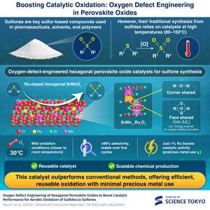 Development of an efficient catalyst for sulfone production