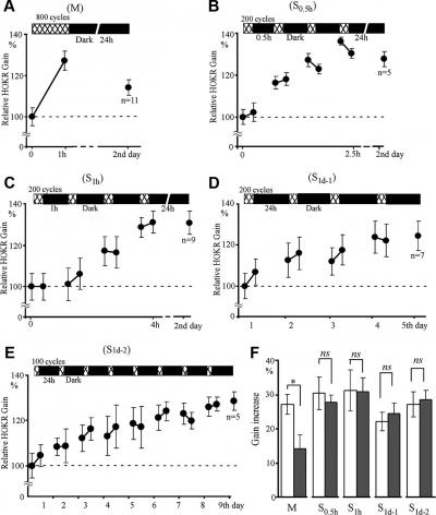 Time Course and Retention of Motor Learning