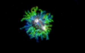 A healthy human cell in mitosis