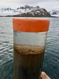 Fig 3: Example of a habitat of MISO bacteria - Marine sediment (foto of a sample from an Arctic fjord in Svalbard)