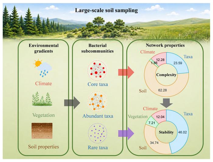 Core and rare microbiota enhance bacterial community complexity and stability along environmental gradients on the Loess Plateau