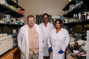 UH Research Team Behind Dormancy Discovery