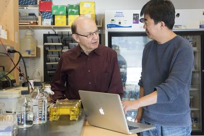 Robert G. Roeder And Ming Yu, Rockefeller University