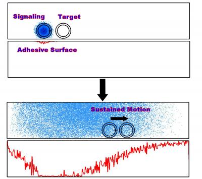 Chemical Signaling