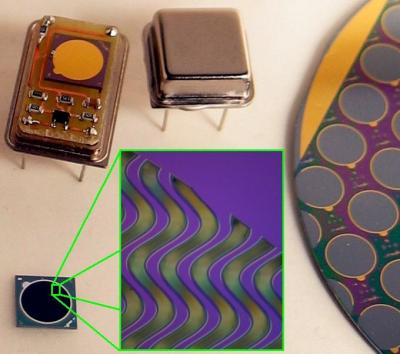 Microstructured Semiconductor Neutron Detector