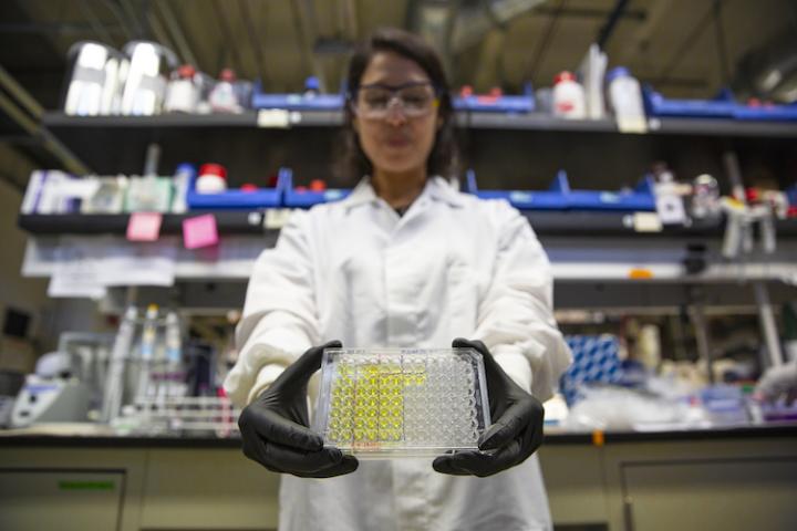 Tara deBoer holds DETECT Well-Plate