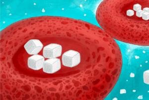 Red blood cells are a glucose sponge