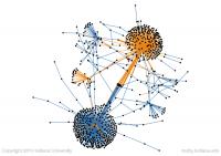 Gaga-McCain Diffusion Network
