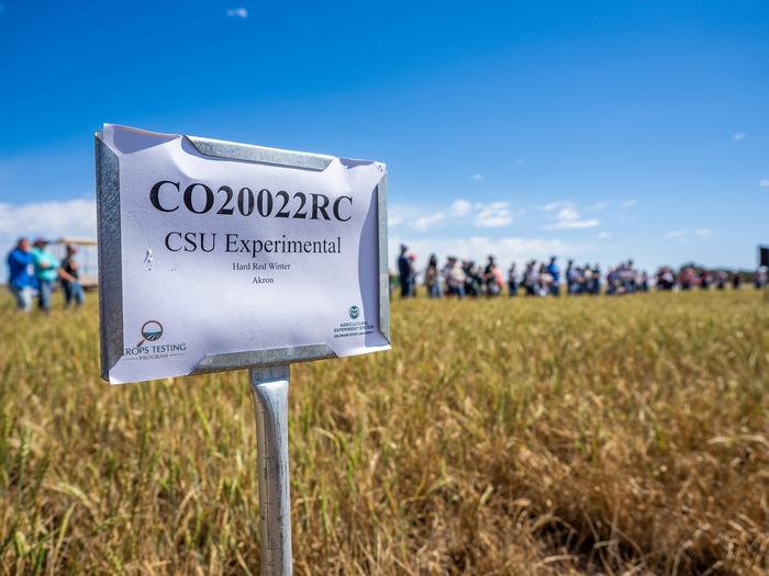 Wheat trial sign