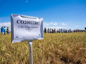 Wheat trial sign