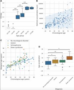 DoliClock: a lipid-based aging clock reveals accelerated aging in neurological disorders