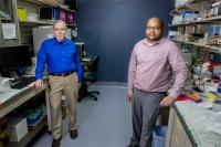 Researchers