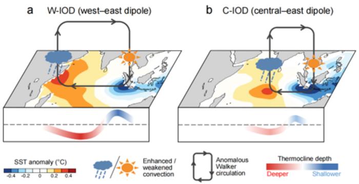 Schematic illustration of two distinct types of the Indian Ocean Dipole