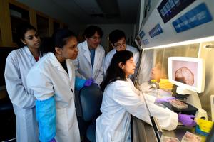 Annie Kathuria and Team