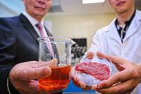 Breakthrough in Organic Preservatives for Food (2 of 2)