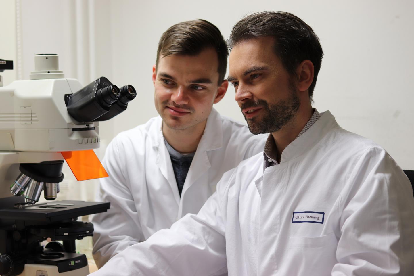 Portrait of the Researchers