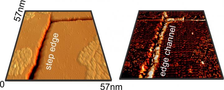 Surface Step