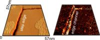 Surface Step