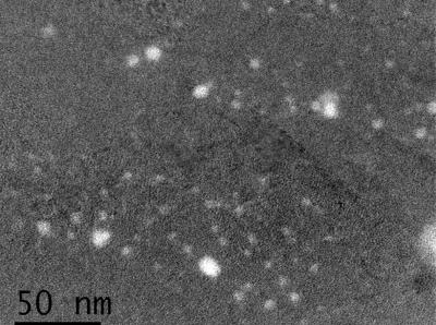 New Material for Thermonuclear Fusion Reactors