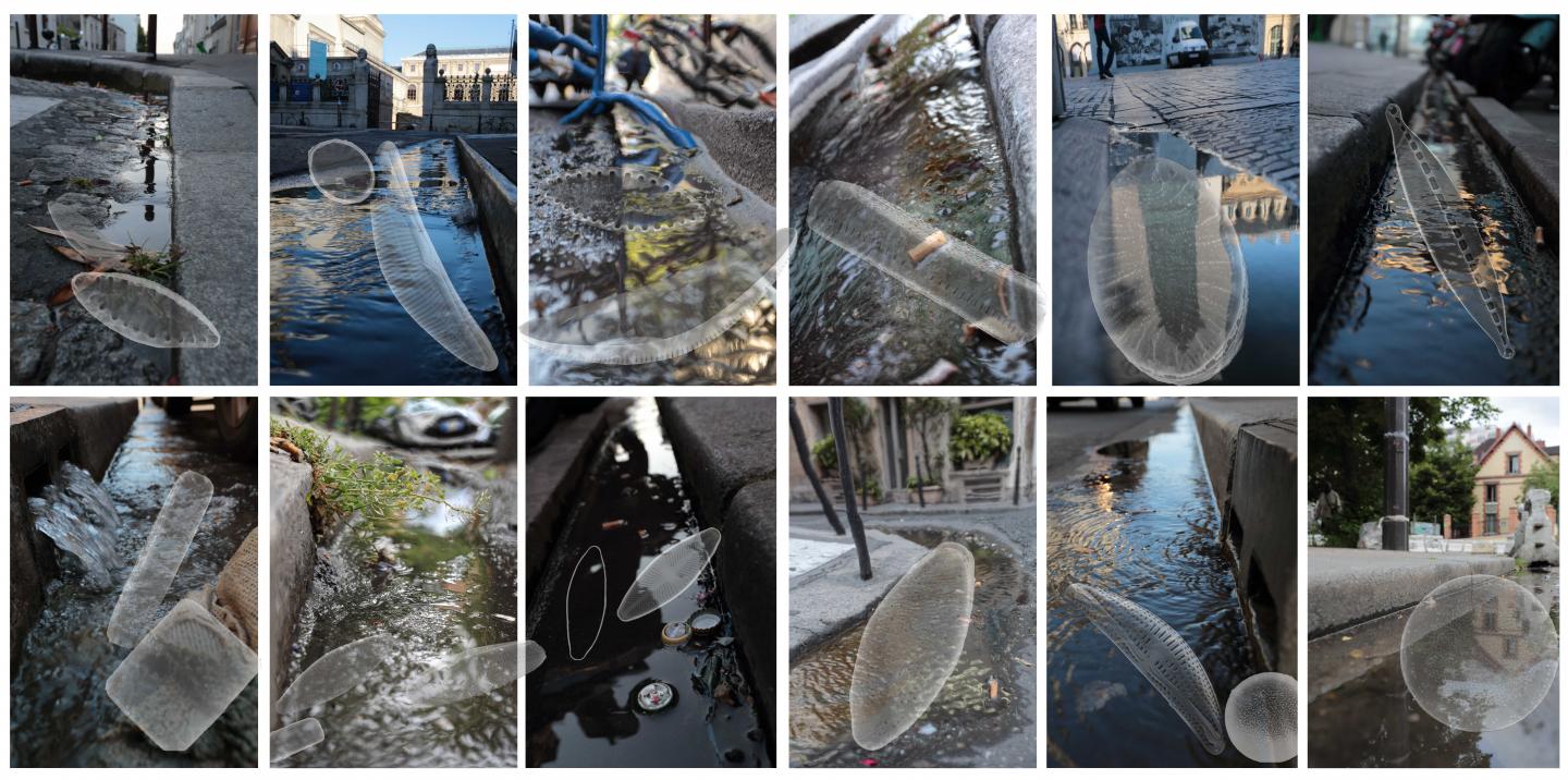 Diatoms and Paris Street Gutters