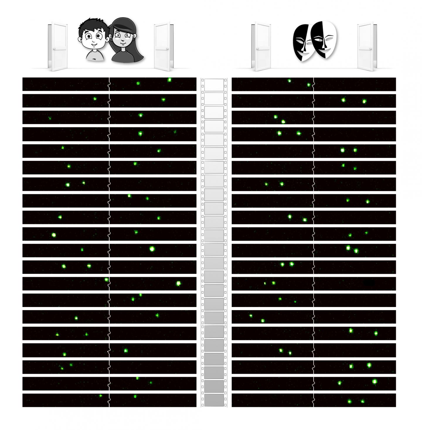 Distinguishable (Left) and Indistinguishable (Right) Photons