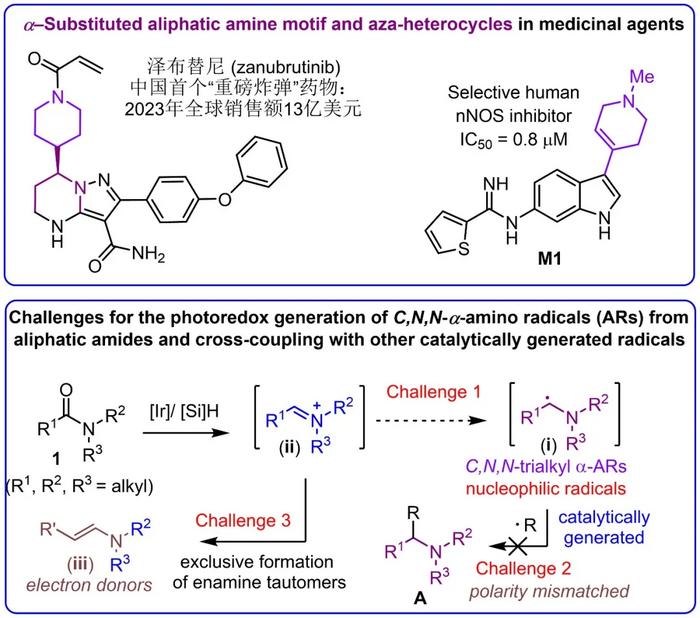Achieving Cross-Coupling Reactions of Fatty Amide Reduction Radicals via Iridium-Photorelay Catalysis and Other Strategies